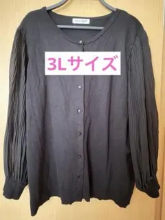 Hina Style 長袖カーディガン ブラック シアー袖　大きいサイズ　3Lのサムネイル