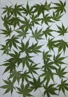 92様 リクエスト 5点 まとめ商品