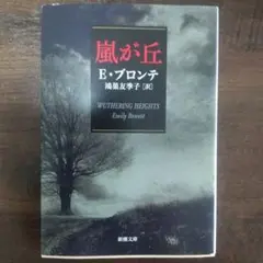 嵐が丘