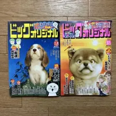 ビッグオリジナル 2025年22号　21号　2冊セット