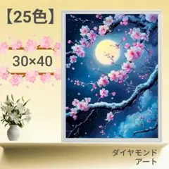 しろごはん様 リクエスト 2点 まとめ商品