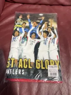 鹿島アントラーズ　ACL2018 優勝記念フェイスタオル