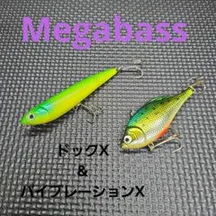 バーサス シェル ジグミノー バーサス シェル ジグミノー 【公式通販】