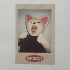 StrayKids スキズ アイエン skzoo ポラロイド トレカ - メルカリ