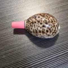 Item thumbnail for item fcb06237-6f5a-4bce-87dc-0f2051dcd3b0