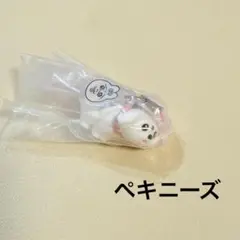 おぱんちゅうさぎ とわんころ マスコット　ペキニーズ