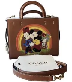 Disney × COACH ディズニー コーチ ミッキー ミニー レインボー