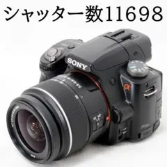 ⭐️SONY ソニー α55 DT 18-55mm★ショット数11698のサムネイル