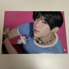 シオン　シーグリセット