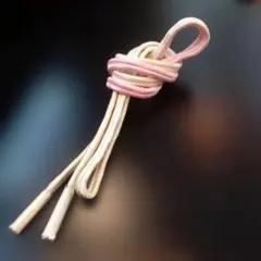 Item thumbnail for item 69c2a789-55dc-46f6-a041-9c996ee48116