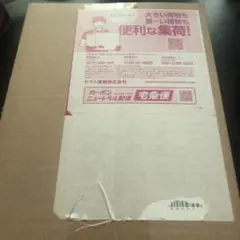 ポケモンカード　ニンジャスピナー　シュリンク付きbox ポケモンセンター産