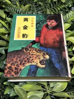 黄金豹 江戸川乱歩 少年探偵 絶版 希少本 - メルカリ