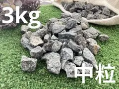 2025年最新】遠野の銘石の人気アイテム - メルカリ