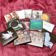 2025年最新】bump of chicken i dvdの人気アイテム - メルカリ