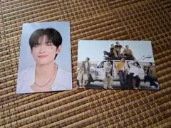 ALD1 ポストカード　ゴヌ