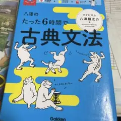 八澤のたった6時間で古典文法