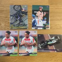 Item thumbnail for item df7f2ece-92e4-4266-9af2-226a3b04bccb