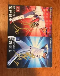 パ*ョ様 プロ野球チップスカードサイン入り