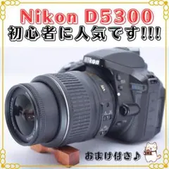 2026年最新】ニコン d5300 バッグの人気アイテム - メルカリ