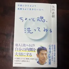 ちょっと魂、洗ってみる 矢作直樹著