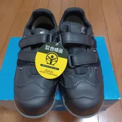 Item thumbnail for item 1aae3fb8-33ae-47f7-a204-e7a863501663