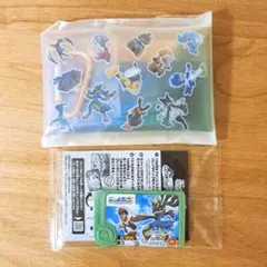 ポケモンメガスタンプラリー　2025 ポケモンフレンダ　マルチケース