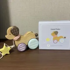 エド・インター知育玩具　木のおもちゃ