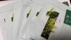 ❺ ナンバーズイン　　1番　8枚