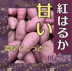 紅はるか　高糖度 約1キロ 等級A 正規品　 サイズMのサムネイル