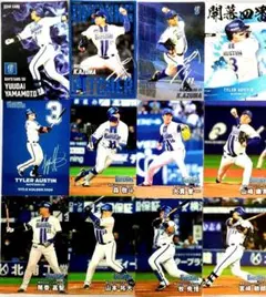 2025カルビープロ野球チップス　横浜DeNAベイスターズ　12枚