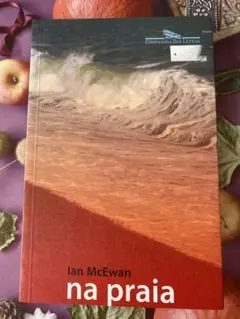 Ian McEwan na praia