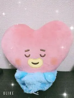BT21 でっかいぬいぐるみ 「TATA」 ♡