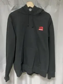19AW SUPREME × THE NORTH FACE フーディー自由の女神