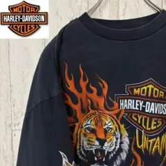【激レア】90s ハーレーダビッドソン　ロンT ファイヤー　完売モデル　フレイム