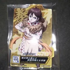 河了貂 アクスタ