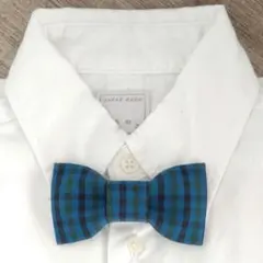 Item thumbnail for item 061589cd-ed4f-439f-93fa-8187789a115e