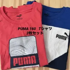 PUMA Tシャツ 160 2枚セット