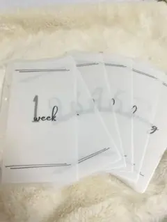 Item thumbnail for item 6d5a6d1e-5821-46a7-ad09-50b3c9039c71