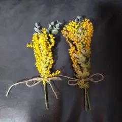 Item thumbnail for item a80e9193-d56a-4459-8e72-f361fc494999