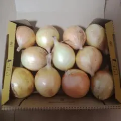 玉ねぎ 約1.5kg 箱入りのサムネイル