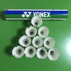 Item thumbnail for item 5bfca1c4-c5fd-4399-a30f-62a602d74e82