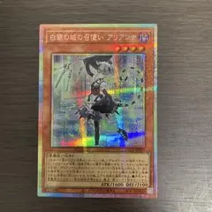 白銀の城の召使い アリアンナ プリシク LOCR-JP045