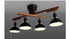 未使用／タキズミ ロッドスポット 電球色 ブラック　DN4021RSBK