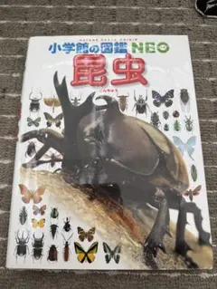 小学館の図鑑 NEOふしぎの図鑑　他色々　13冊まとめ売り