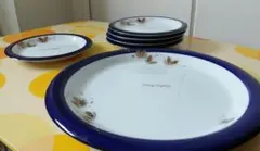 ハナエ モリ風 蝶のデザインのプレートセット【大皿1枚・小皿5枚(未使用2枚)】