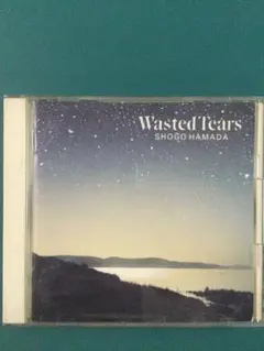 other - LP レコード 浜田省吾 ウェステッド・ティアーズ WASTED TEARS WASTED TEARS : 浜田省吾 | HMV&BOOKS online - 32DH-5269