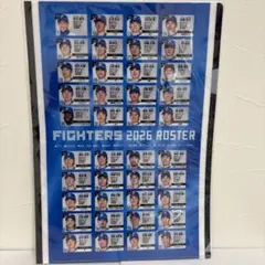北海道日本ハムファイターズオリジナルクリアファイルのサムネイル