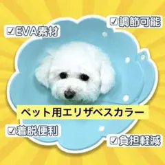 早い者勝ち❣️ペット用 エリザベスカラー 猫用 犬用 ソフト 着脱便利 傷舐め防止