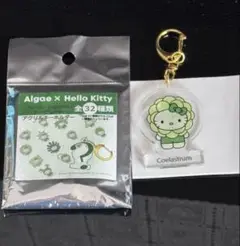 ハローキティ 関西大阪万博 日本館限定 キーホルダー 藻類 サンリオ 18