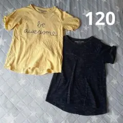 ネクスト 女の子用Tシャツ2枚セット 120cmのサムネイル